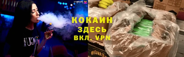 прущие грибы Белокуриха